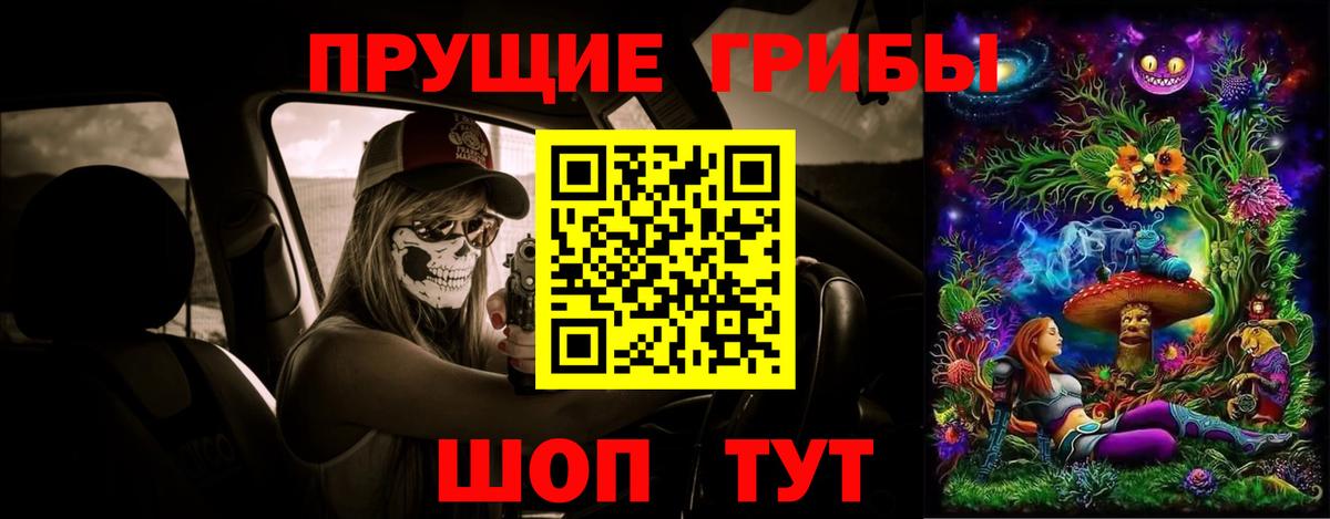 Галлюциногенные грибы Cubensis Саров